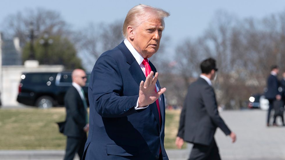 trump donald